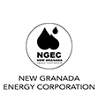 new-energy